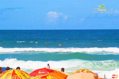 PRAIA BRAVA (Florianópolis): o que saber antes de ir, fotos e o .